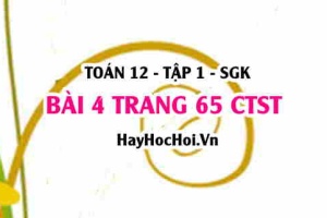 Bài 4 trang 65 Toán 12 tập 1 Chân trời sáng tạo